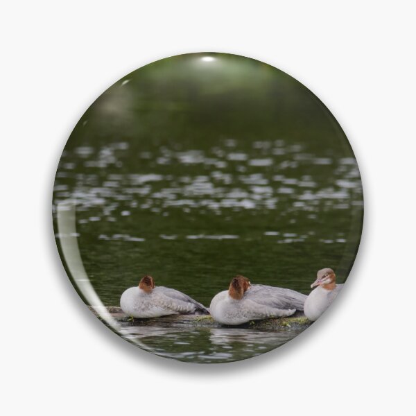 Item preview, Trio Ti Red. Common merganser designed and sold by Jouko Lehto Photography.