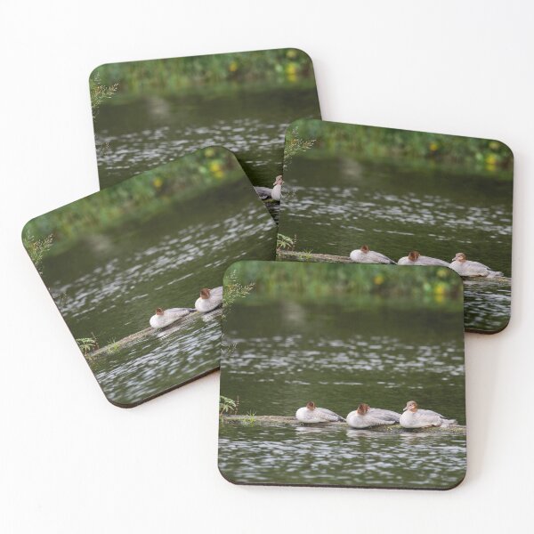Item preview, Trio Ti Red. Common merganser designed and sold by Jouko Lehto Photography.