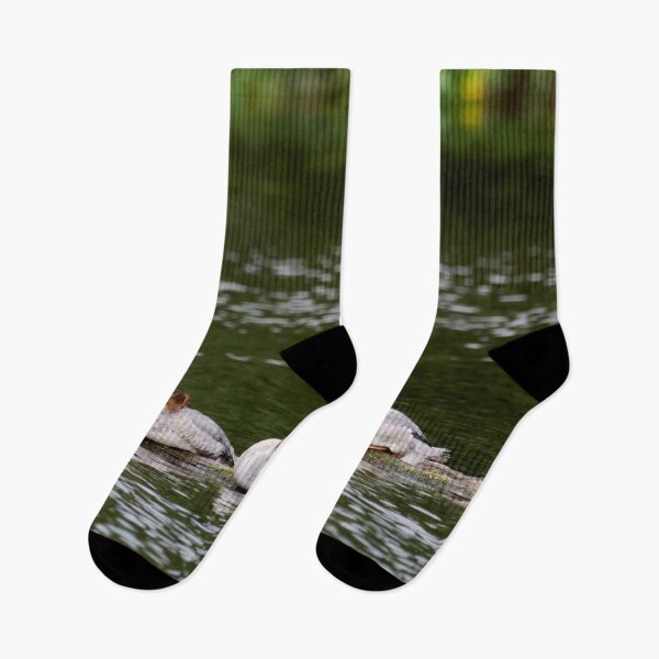 Item preview, Trio Ti Red. Common merganser designed and sold by Jouko Lehto Photography.