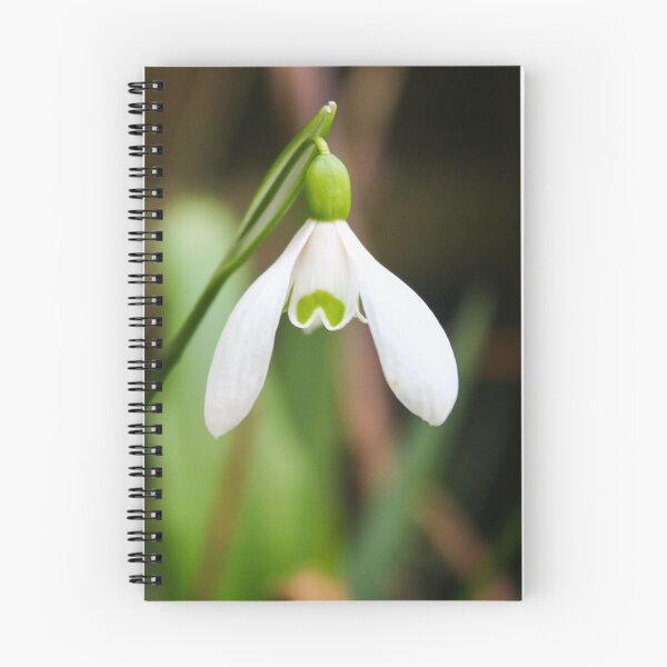 Item preview, Snowdrop designed and sold by GreyFeatherPhot.