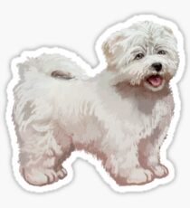 Maltese Dog Sticker