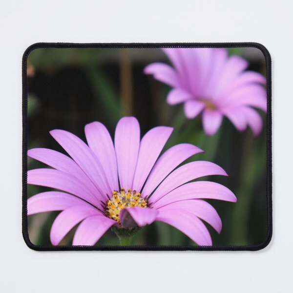 Item preview, Pink Flowers designed and sold by Zoe Sian Photography.