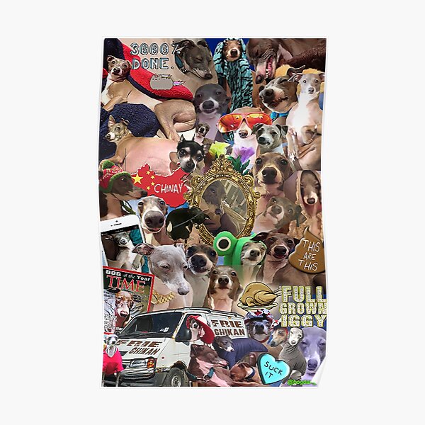 Jenna Marbles Kermit Collage Poster