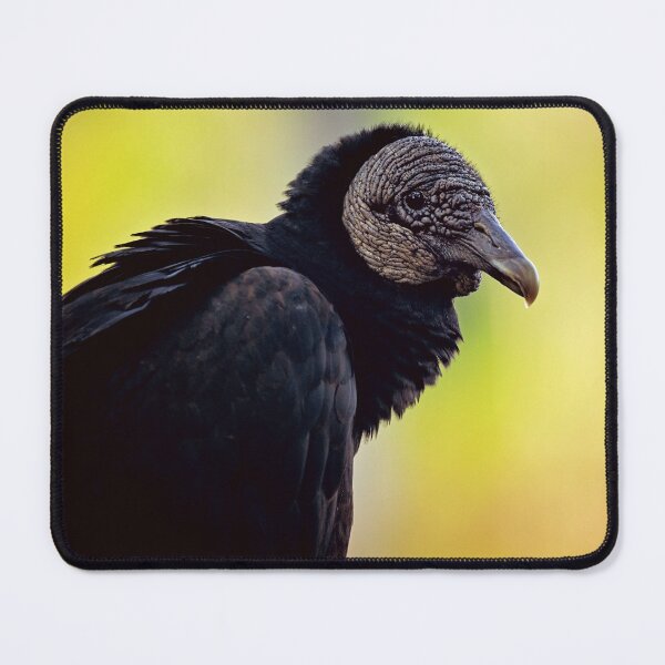 Item preview, Black Vulture designed and sold by irishmurr.