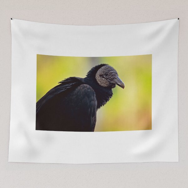 Item preview, Black Vulture designed and sold by irishmurr.