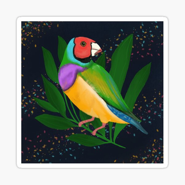 Gouldian Finch- Pan Pride Flag Sticker
