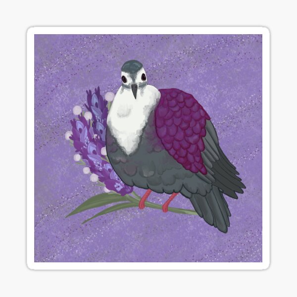 Ground Rock Dove- Ace Pride Flag Sticker
