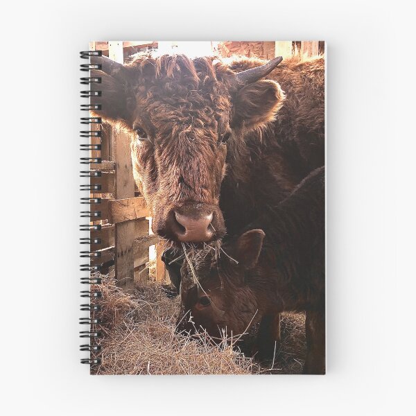 Item preview, Ruby and her calf  designed and sold by scleverfarm.