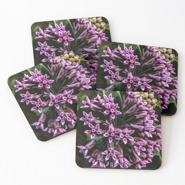 Item preview, Purple milkweed  designed and sold by scleverfarm.