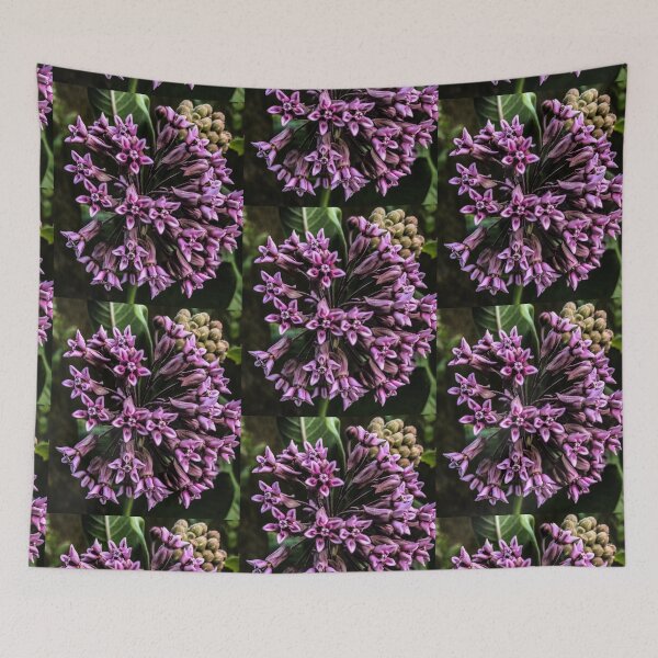Item preview, Purple milkweed  designed and sold by scleverfarm.