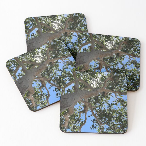Item preview, Sunny Tree Art Photo designed and sold by janraydesigns.