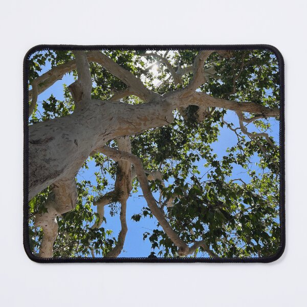 Item preview, Sunny Tree Art Photo designed and sold by janraydesigns.