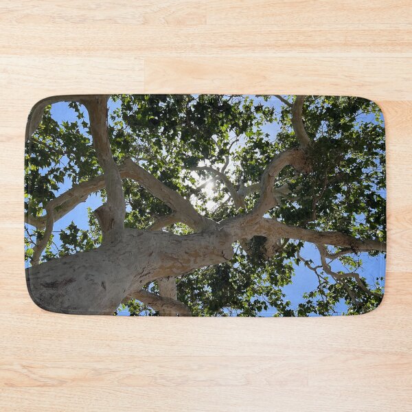 Item preview, Sunny Tree Art Photo designed and sold by janraydesigns.