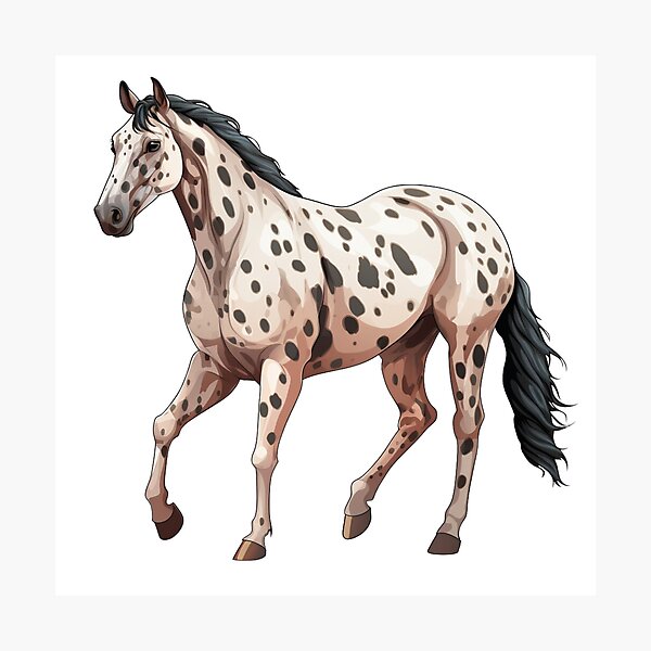 Aperçu de l'œuvre Cheval Appaloosa créée et vendue par NineSvn.