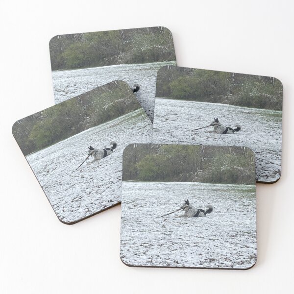Item preview, Dog in the Snow designed and sold by 5x5 Adventures .