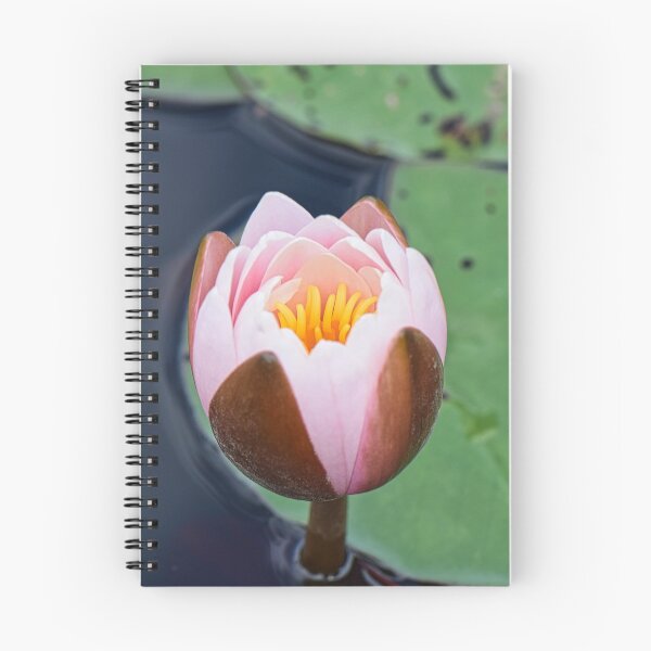 Item preview, White water lily designed and sold by The Wolfness Photography.