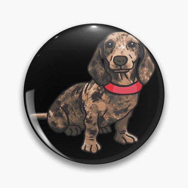Item preview, Dapple Dachshund Dog Sit designed and sold by ElLocoMus.