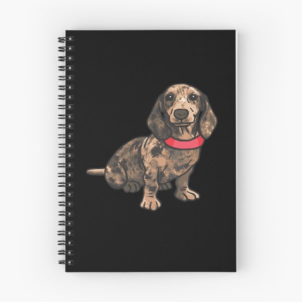 Item preview, Dapple Dachshund Dog Sit designed and sold by ElLocoMus.