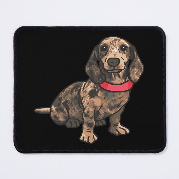 Item preview, Dapple Dachshund Dog Sit designed and sold by ElLocoMus.