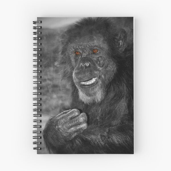 Aperçu de l'œuvre Chimpanzé heureux créée et vendue par Savannah Gibbs.