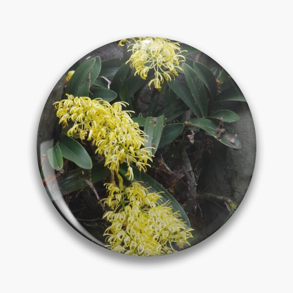 Item preview, Buruwan Eora, Rock Orchid designed and sold by lezvee.