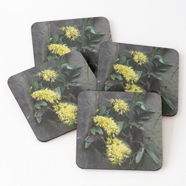 Item preview, Buruwan Eora, Rock Orchid designed and sold by lezvee.