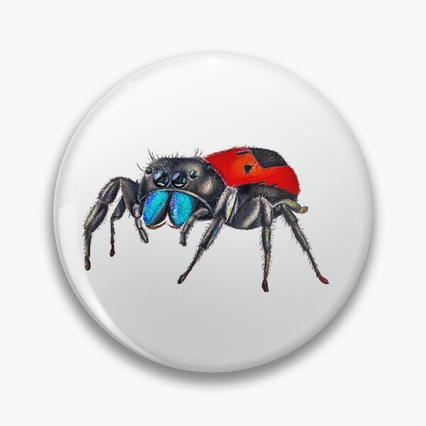 Item preview, Johnson's Jumping Spider (Phidippus johnsoni) designed and sold by bioactiveb.
