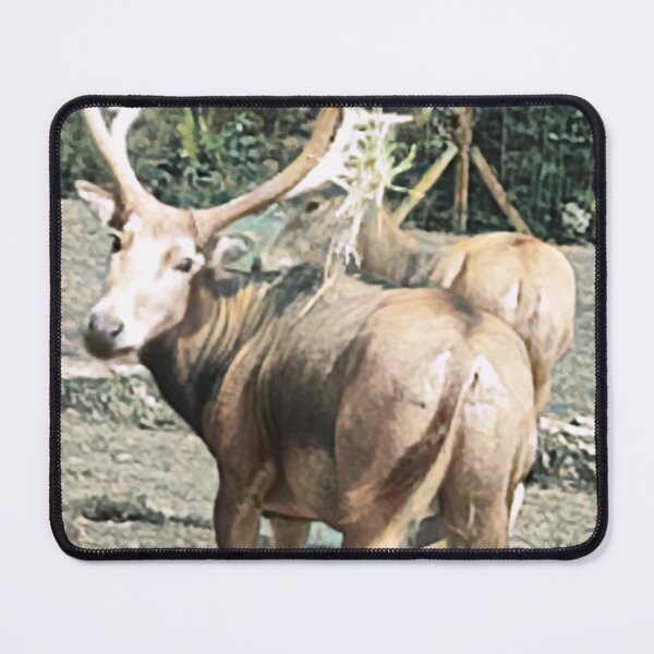 Item preview, deer animals designed and sold by Minddey.