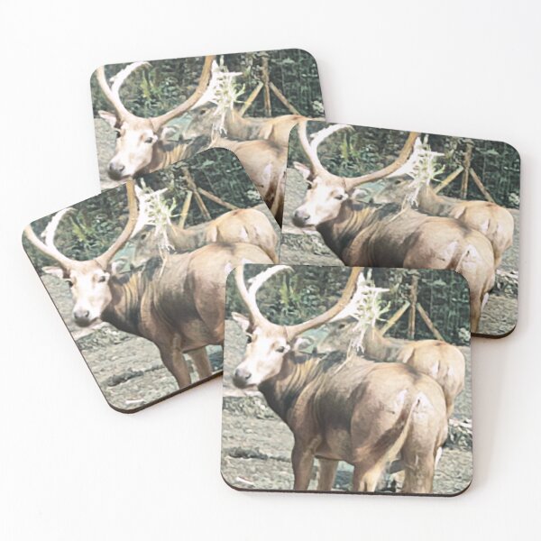 Item preview, deer animals designed and sold by Minddey.