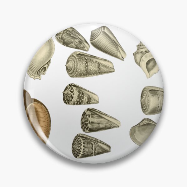 Item preview, Seashells designed and sold by Tetsuya-Yui.