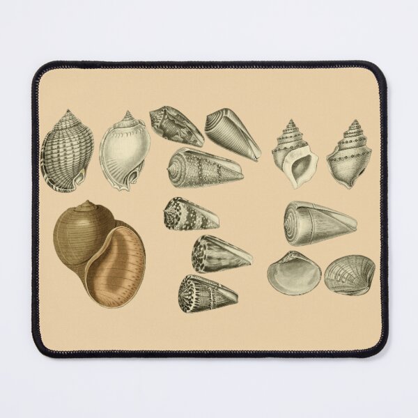 Item preview, Seashells designed and sold by Tetsuya-Yui.