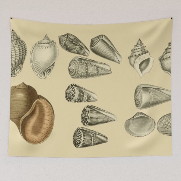 Item preview, Seashells designed and sold by Tetsuya-Yui.