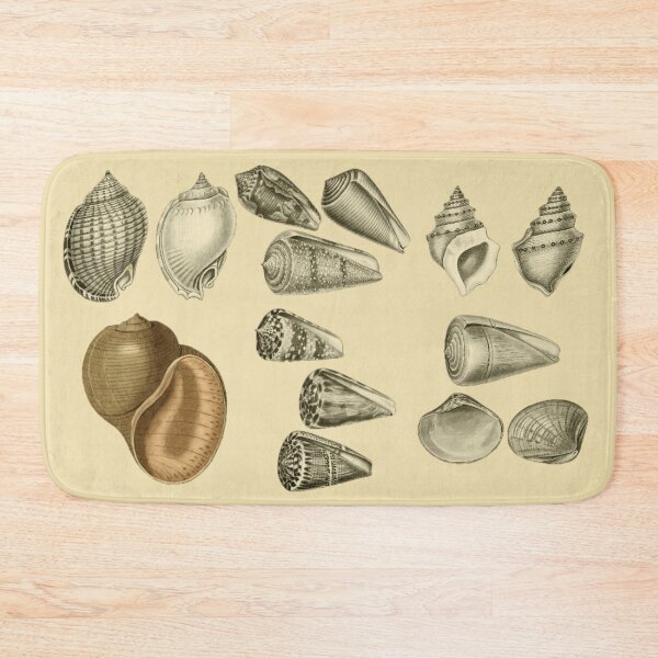 Item preview, Seashells designed and sold by Tetsuya-Yui.