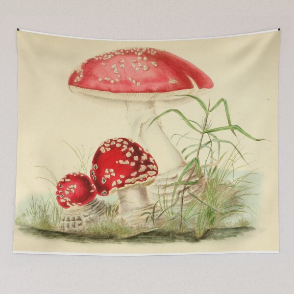 Item preview, Seta roja designed and sold by Tetsuya-Yui.