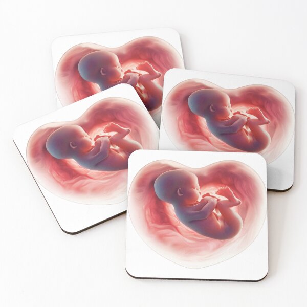 Item preview, Baby foetus heart shape womb designed and sold by RealRebornDolls.