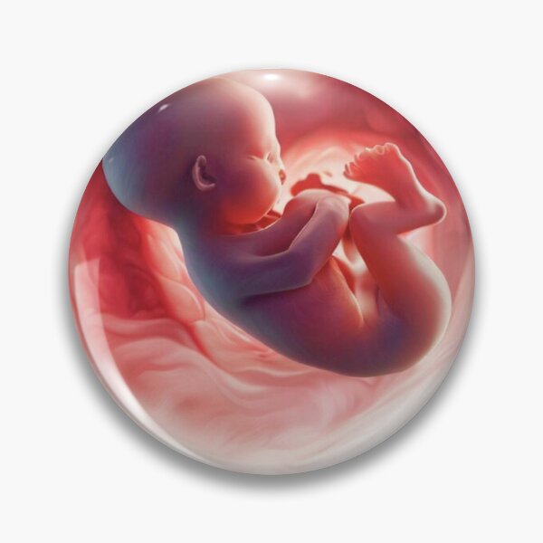 Item preview, Baby foetus heart shape womb designed and sold by RealRebornDolls.