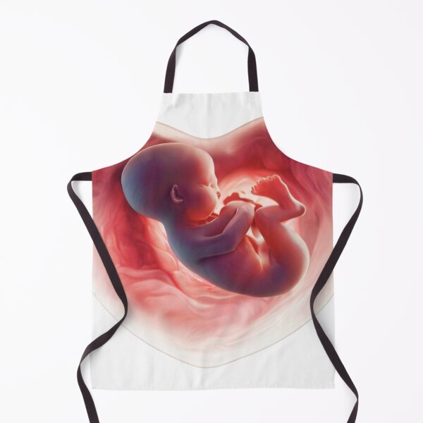 Item preview, Baby foetus heart shape womb designed and sold by RealRebornDolls.