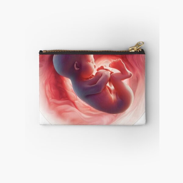 Item preview, Baby foetus heart shape womb designed and sold by RealRebornDolls.