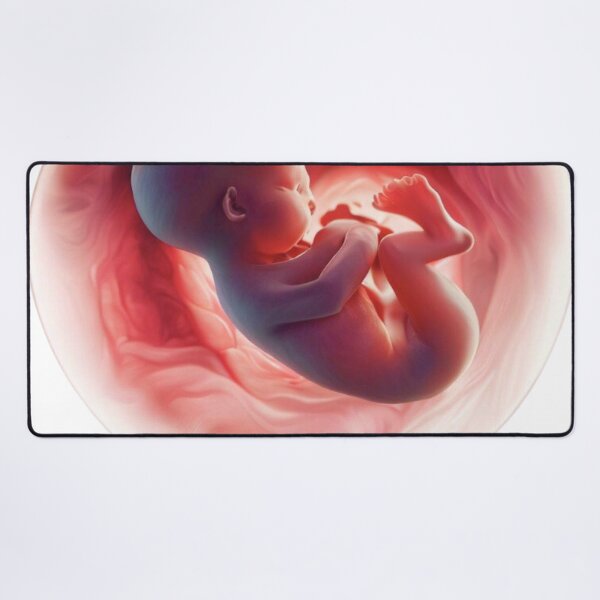 Item preview, Baby foetus heart shape womb designed and sold by RealRebornDolls.