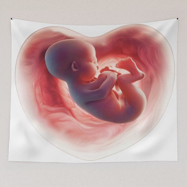 Item preview, Baby foetus heart shape womb designed and sold by RealRebornDolls.