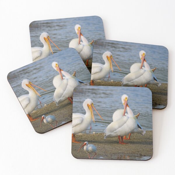 Item preview, Como era designed and sold by Michiale.