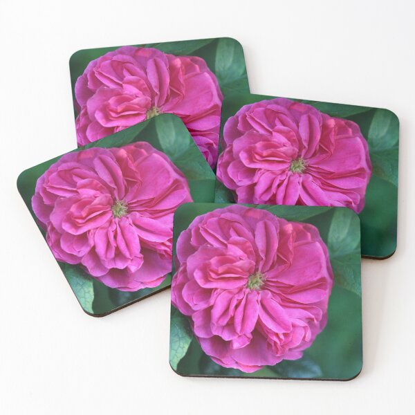 Item preview, As Pink as they Get designed and sold by cuprum.