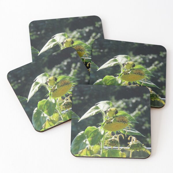Item preview, American Goldfinch Enjoying Sunflower Seeds designed and sold by Monica-Stroud.