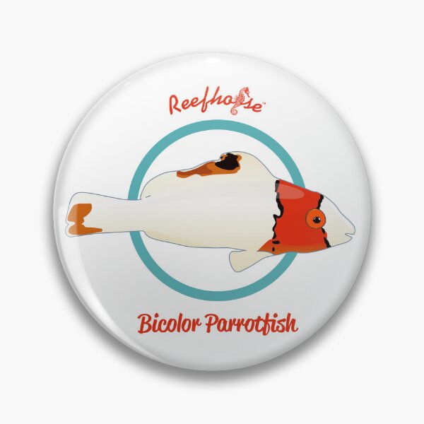 Item preview, Bicolor Parrotfish designed and sold by KaplanCrypto.