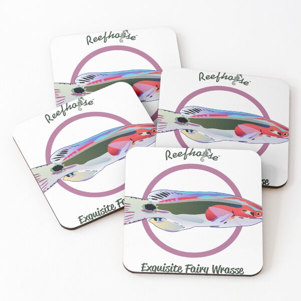 Item preview, Exquisite Fairy Wrasse designed and sold by KaplanCrypto.