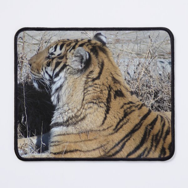 Item preview, Tiger Photo designed and sold by kaylanaiad.