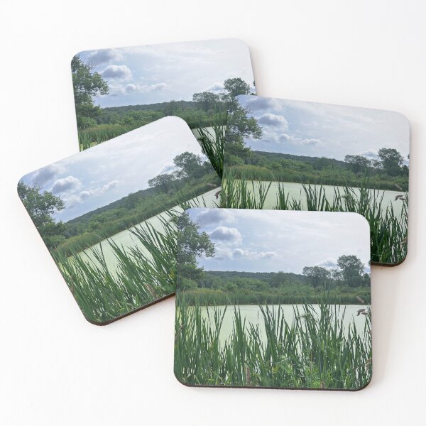 Item preview, Pond From Ohio designed and sold by fiendsfinds.