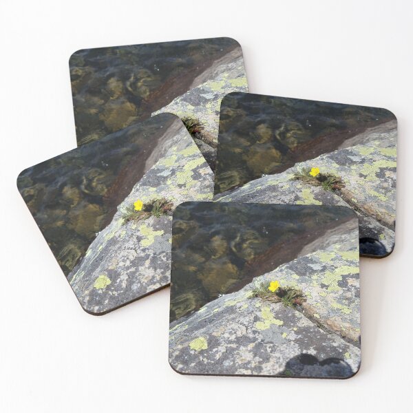 Item preview, A Guy Likes Lichen designed and sold by LifeExpressions.