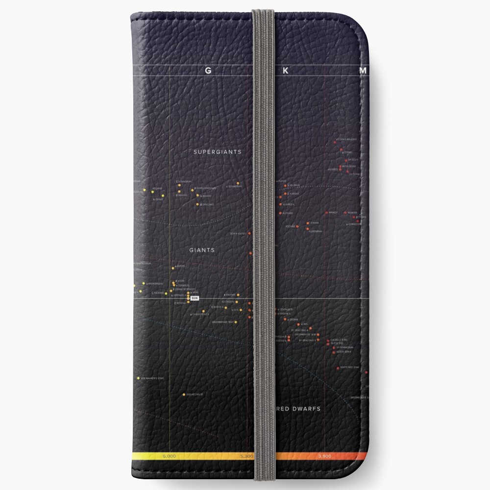 Louis Vuitton iPhone X Folio Case Monogram Grey in Titanium Canvas