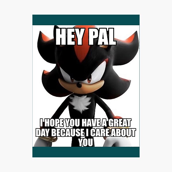 Item preview, Shadow the Hedgehog Hey Pal Meme designed and sold by Reetwarnick0.